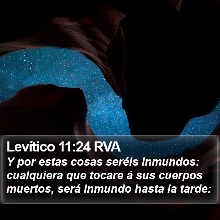 Levítico 11:24 RVA Bible Study