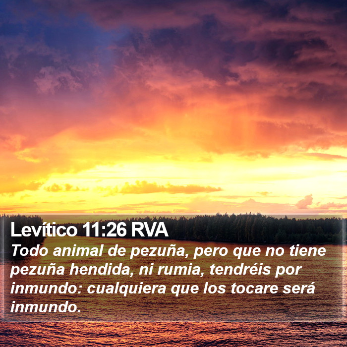 Levítico 11:26 RVA Bible Study