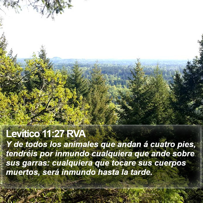 Levítico 11:27 RVA Bible Study