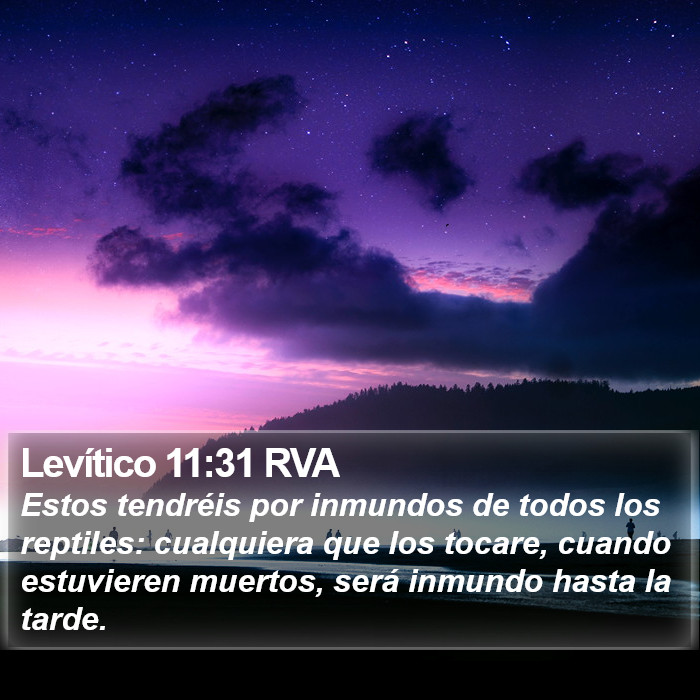 Levítico 11:31 RVA Bible Study