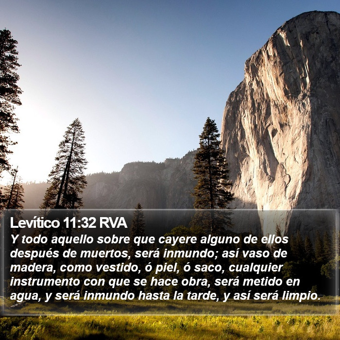 Levítico 11:32 RVA Bible Study