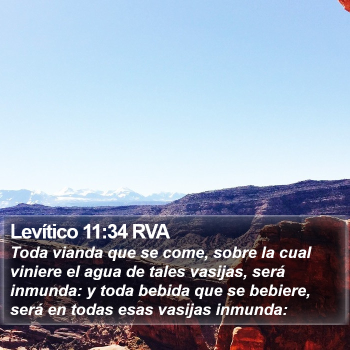 Levítico 11:34 RVA Bible Study