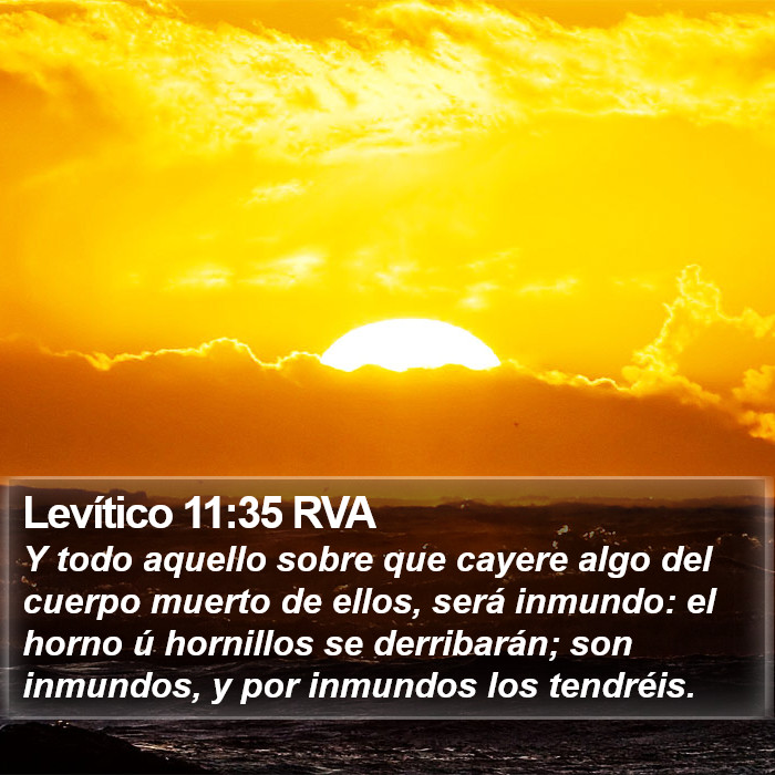 Levítico 11:35 RVA Bible Study