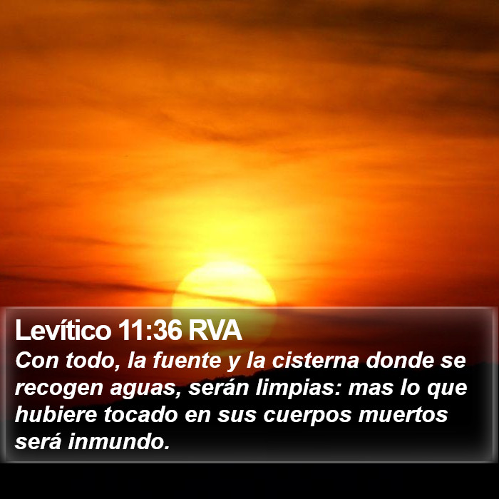 Levítico 11:36 RVA Bible Study