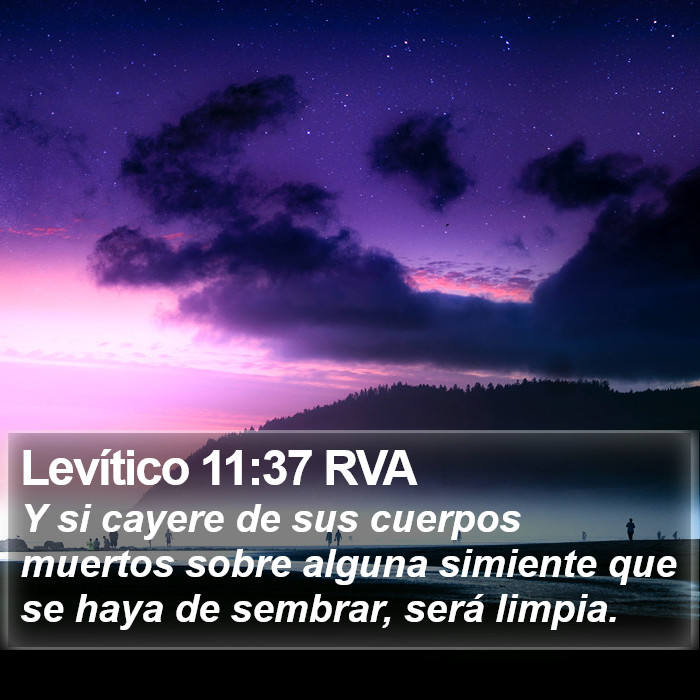 Levítico 11:37 RVA Bible Study