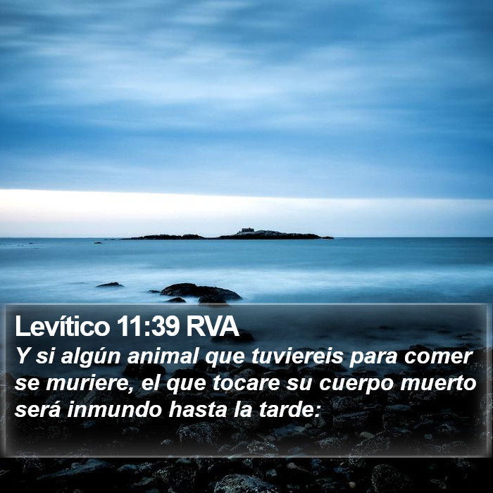 Levítico 11:39 RVA Bible Study