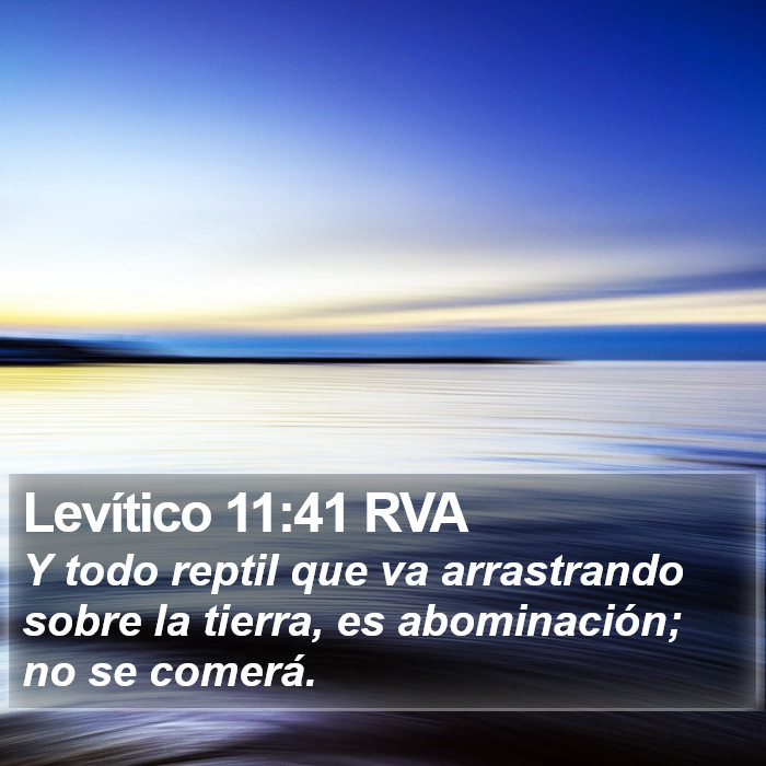 Levítico 11:41 RVA Bible Study