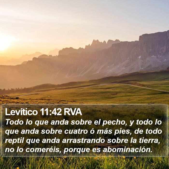 Levítico 11:42 RVA Bible Study