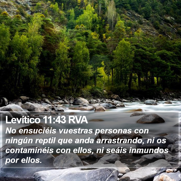 Levítico 11:43 RVA Bible Study