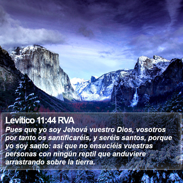 Levítico 11:44 RVA Bible Study