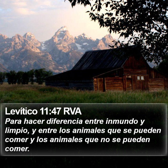 Levítico 11:47 RVA Bible Study