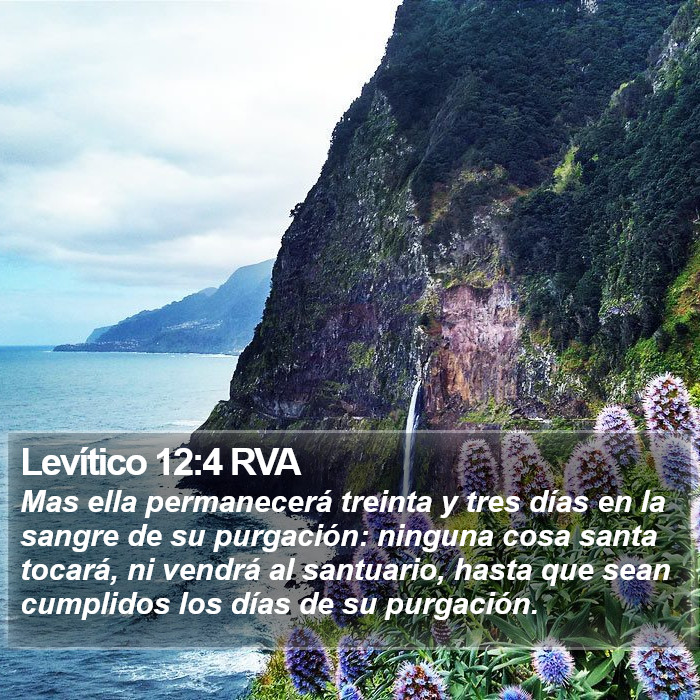 Levítico 12:4 RVA Bible Study