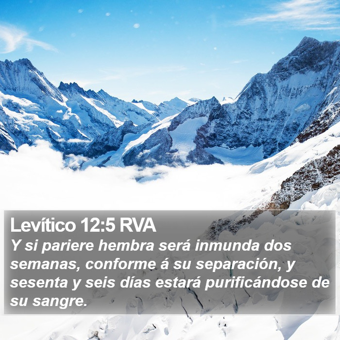 Levítico 12:5 RVA Bible Study