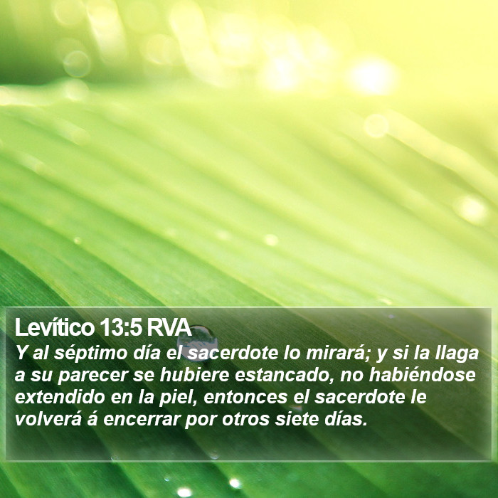 Levítico 13:5 RVA Bible Study