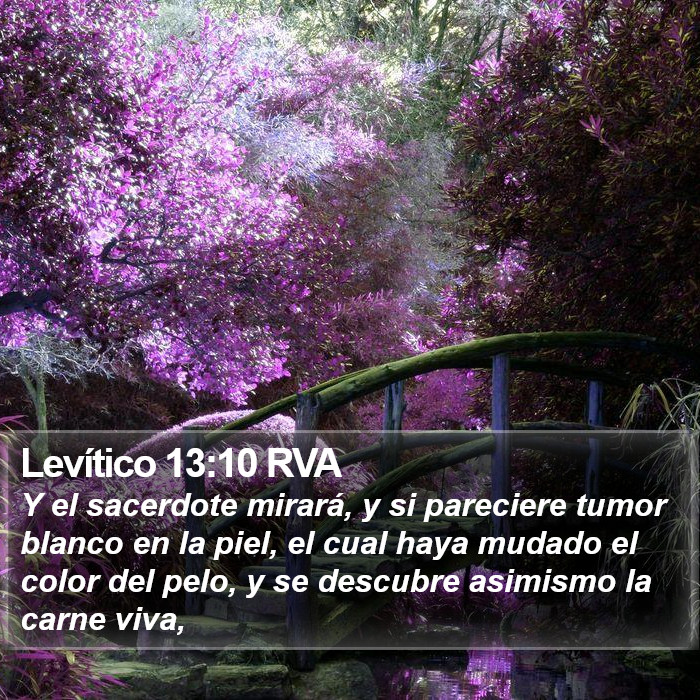 Levítico 13:10 RVA Bible Study