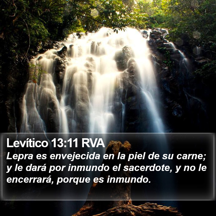 Levítico 13:11 RVA Bible Study