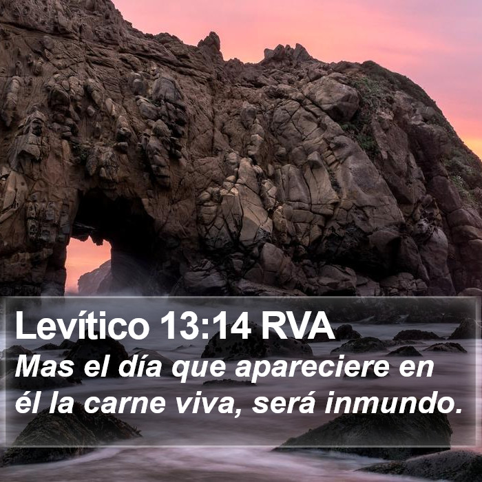 Levítico 13:14 RVA Bible Study