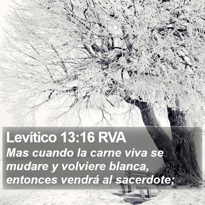 Levítico 13:16 RVA Bible Study