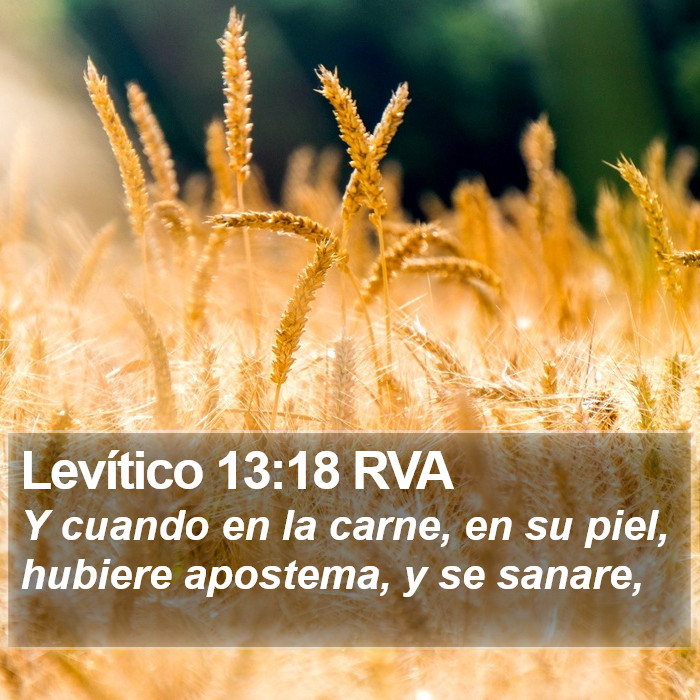 Levítico 13:18 RVA Bible Study