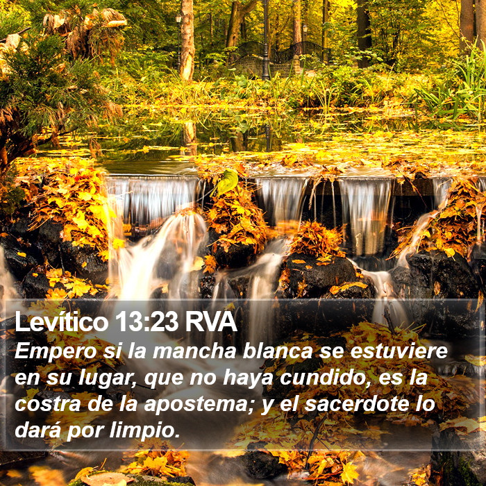 Levítico 13:23 RVA Bible Study