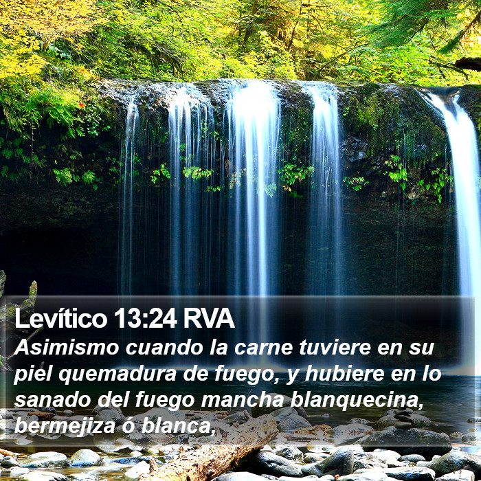 Levítico 13:24 RVA Bible Study