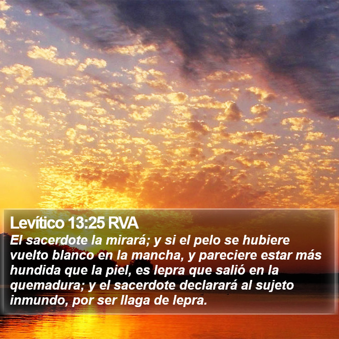 Levítico 13:25 RVA Bible Study