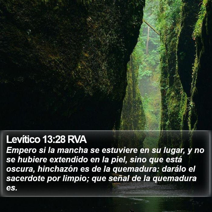 Levítico 13:28 RVA Bible Study