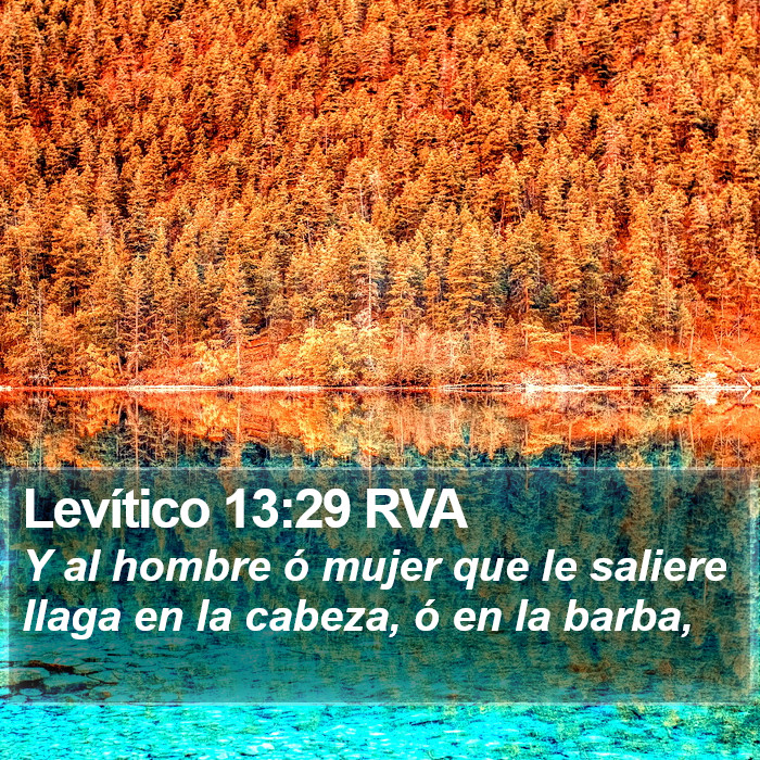 Levítico 13:29 RVA Bible Study