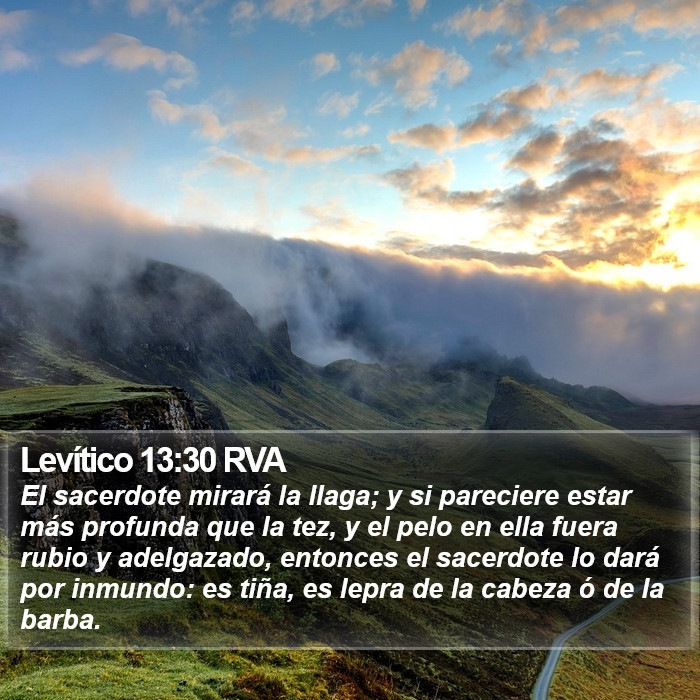 Levítico 13:30 RVA Bible Study