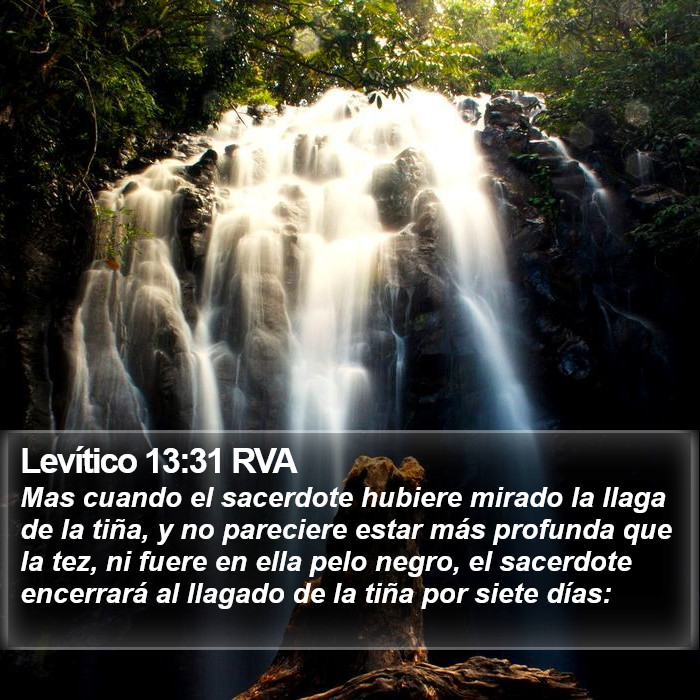 Levítico 13:31 RVA Bible Study