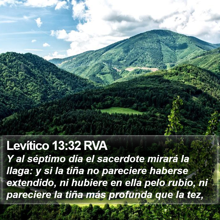 Levítico 13:32 RVA Bible Study