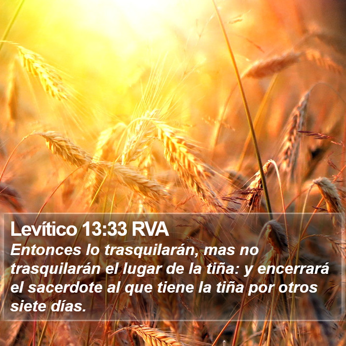 Levítico 13:33 RVA Bible Study