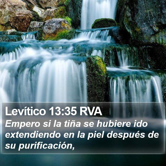 Levítico 13:35 RVA Bible Study