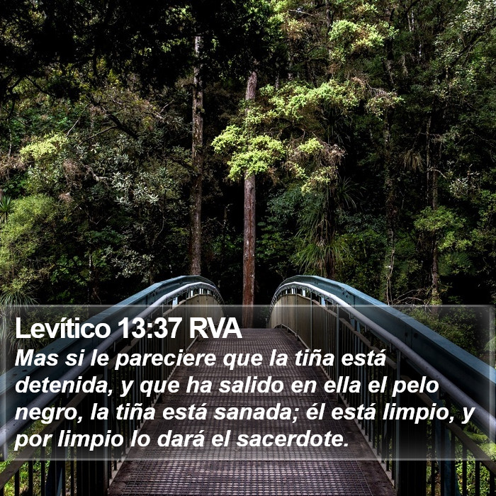 Levítico 13:37 RVA Bible Study