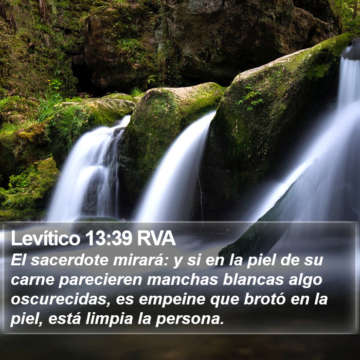 Levítico 13:39 RVA Bible Study