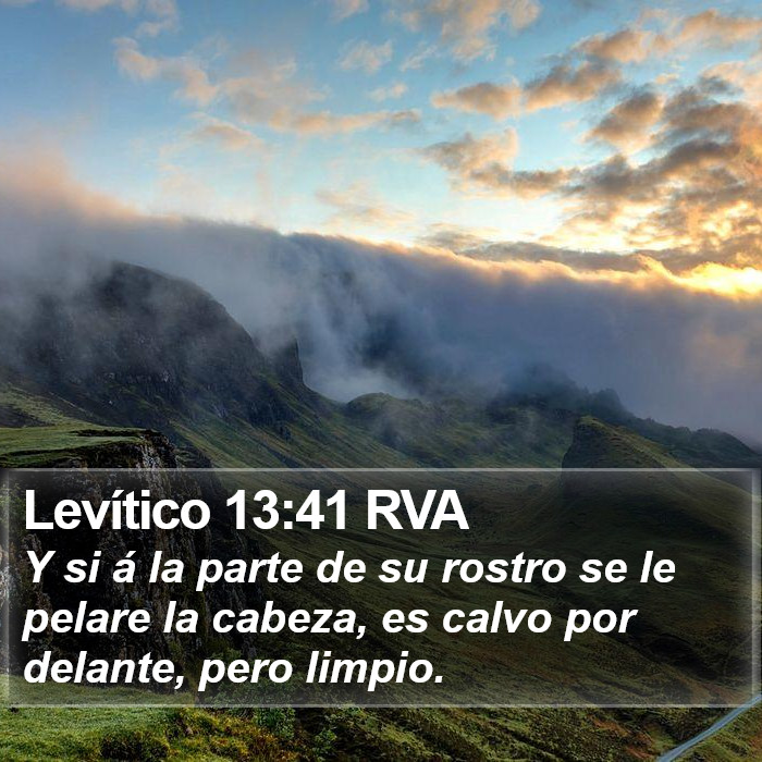 Levítico 13:41 RVA Bible Study