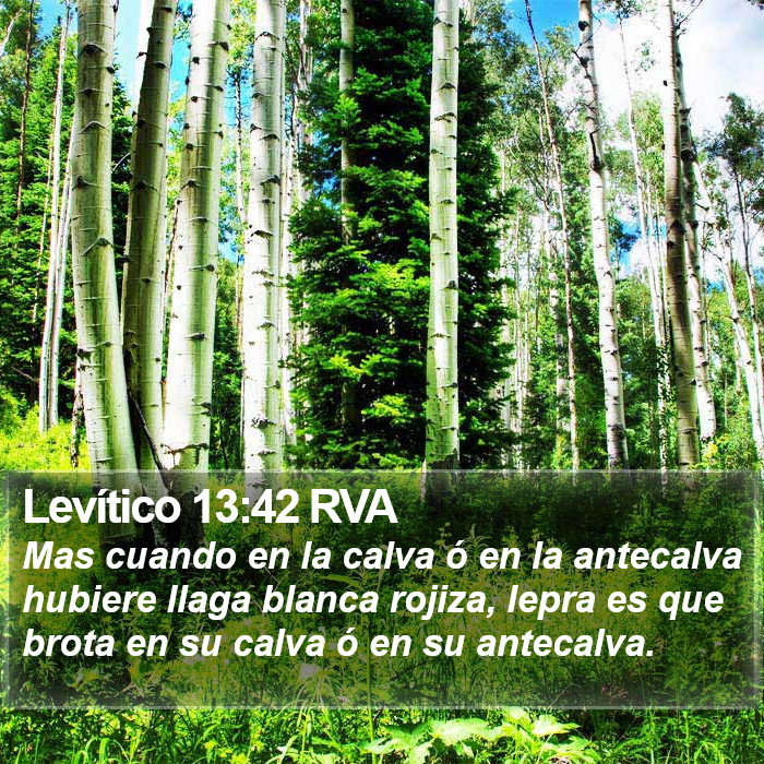 Levítico 13:42 RVA Bible Study