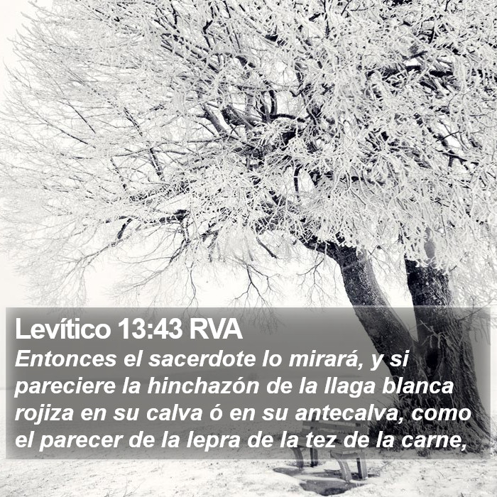 Levítico 13:43 RVA Bible Study