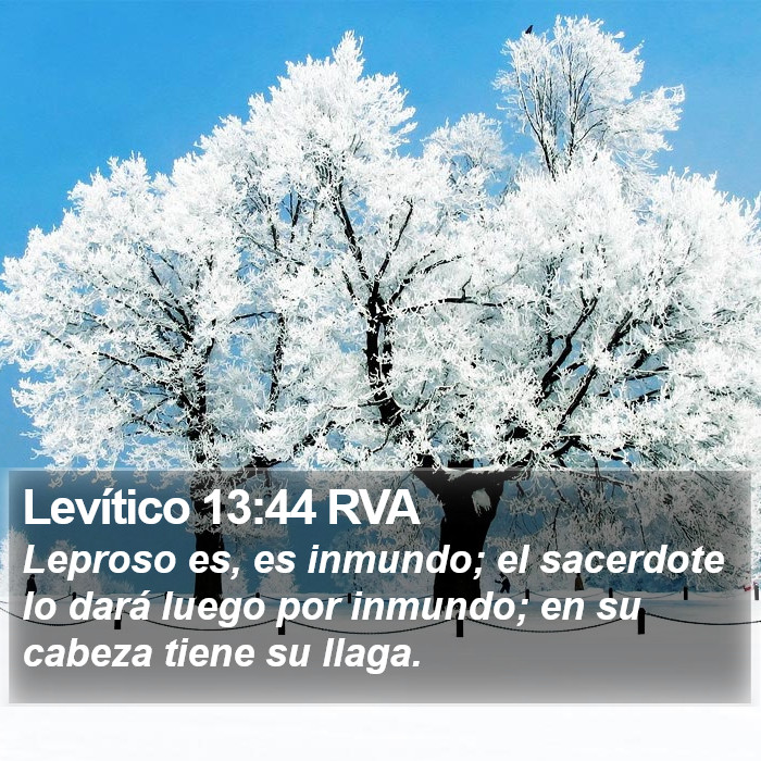 Levítico 13:44 RVA Bible Study