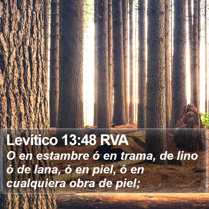 Levítico 13:48 RVA Bible Study