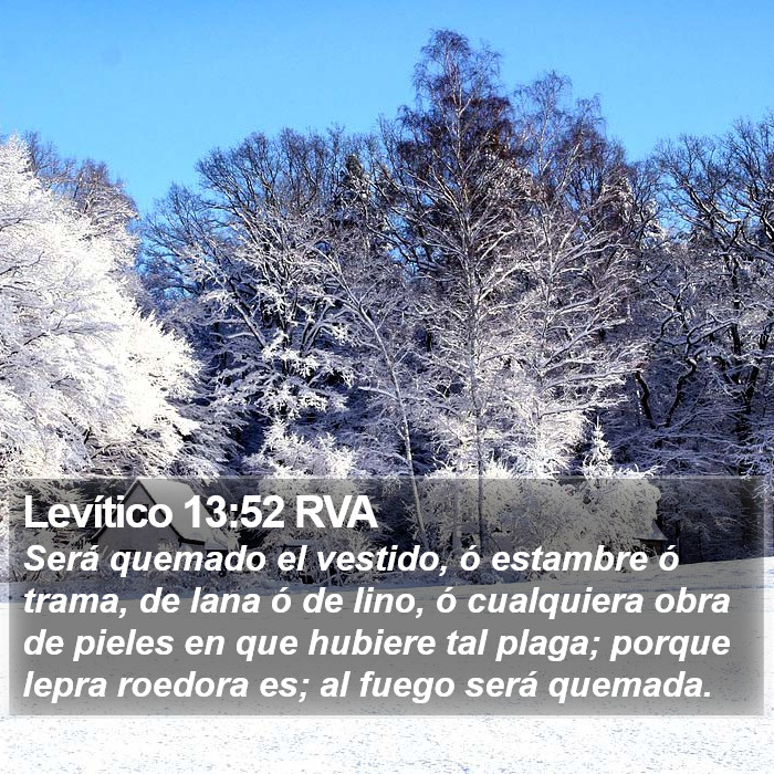 Levítico 13:52 RVA Bible Study