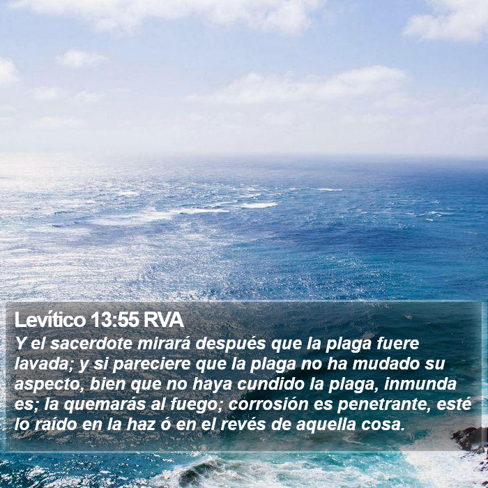 Levítico 13:55 RVA Bible Study