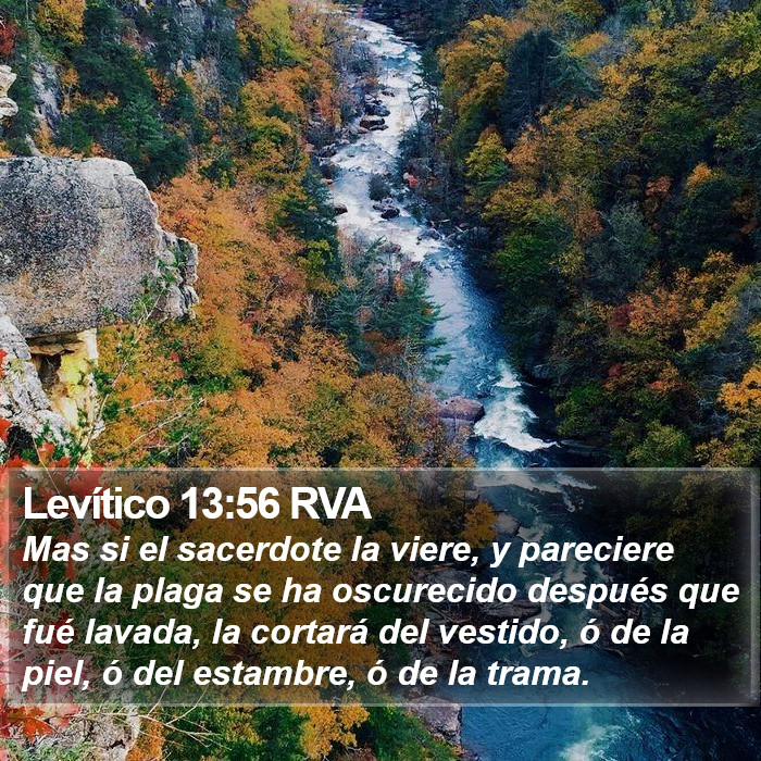 Levítico 13:56 RVA Bible Study