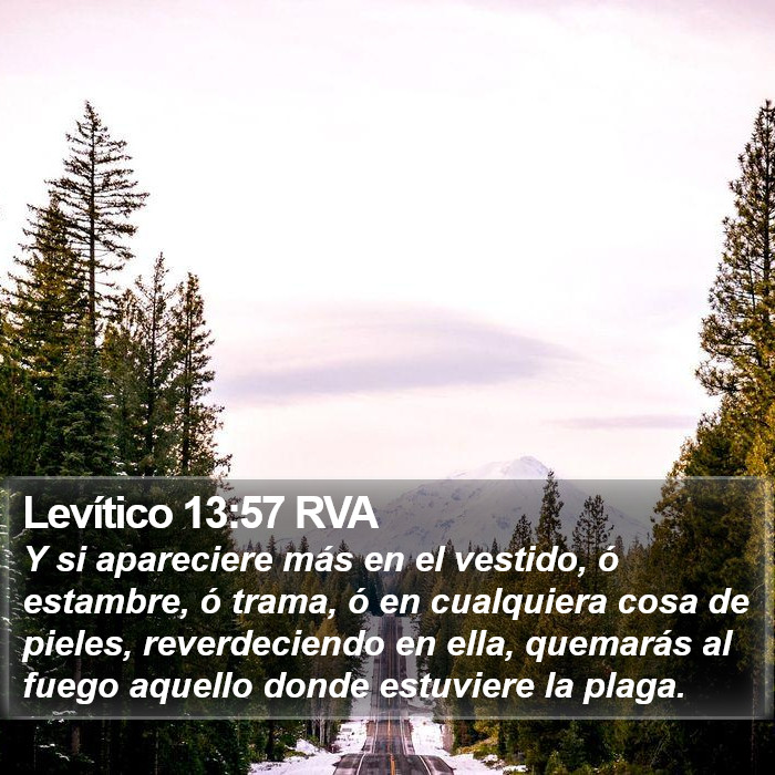 Levítico 13:57 RVA Bible Study