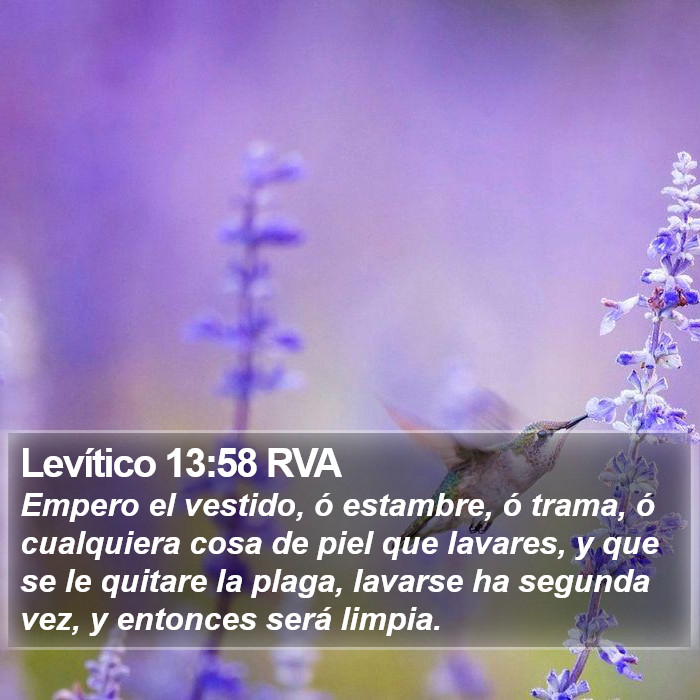 Levítico 13:58 RVA Bible Study