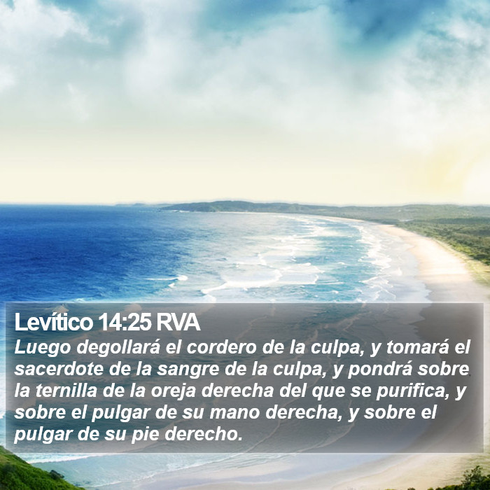 Levítico 14:25 RVA Bible Study