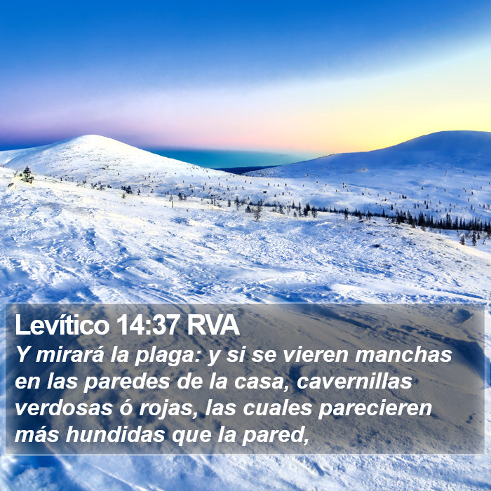 Levítico 14:37 RVA Bible Study