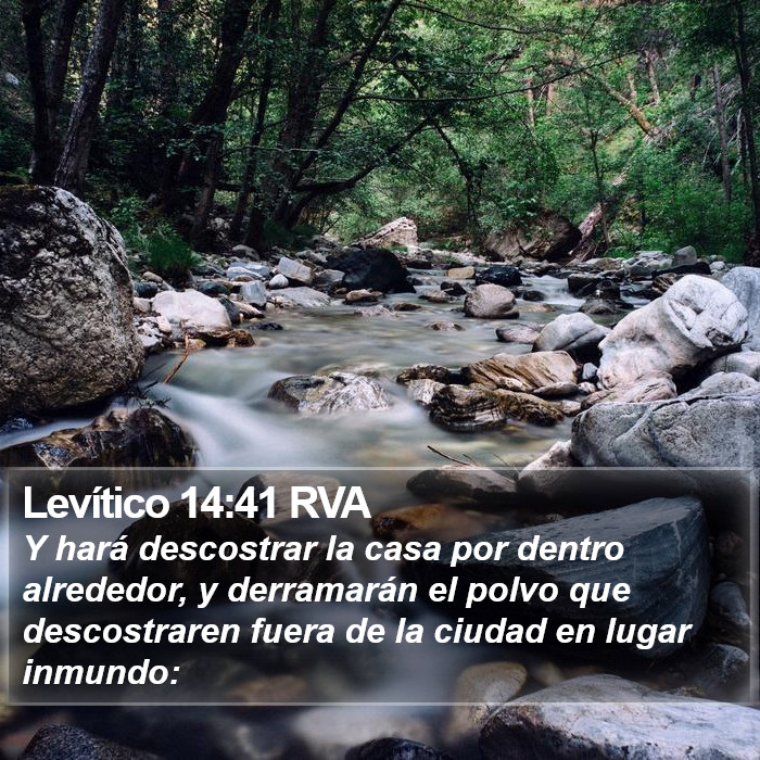 Levítico 14:41 RVA Bible Study