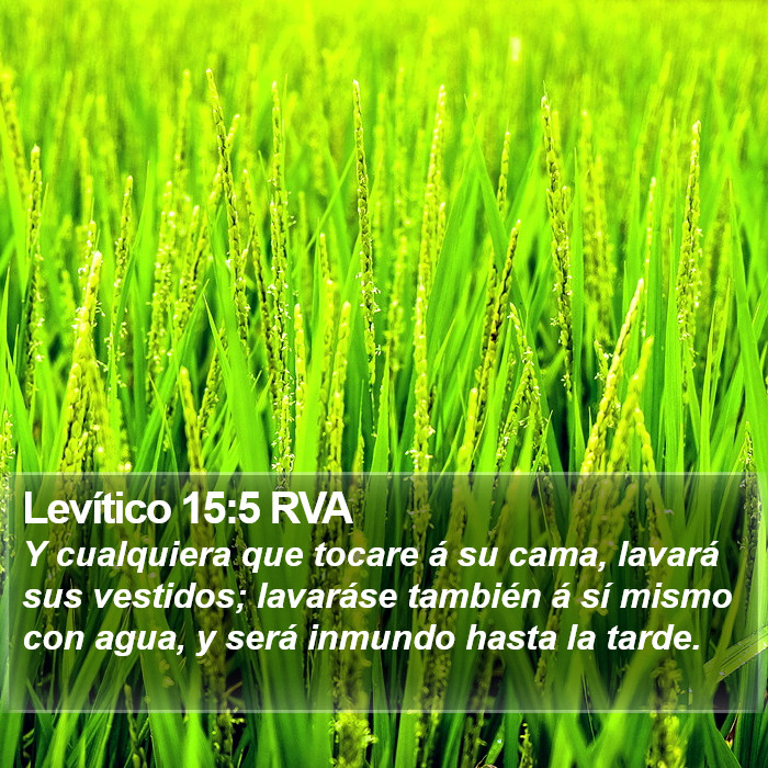 Levítico 15:5 RVA Bible Study