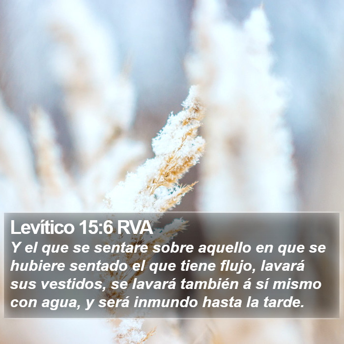 Levítico 15:6 RVA Bible Study